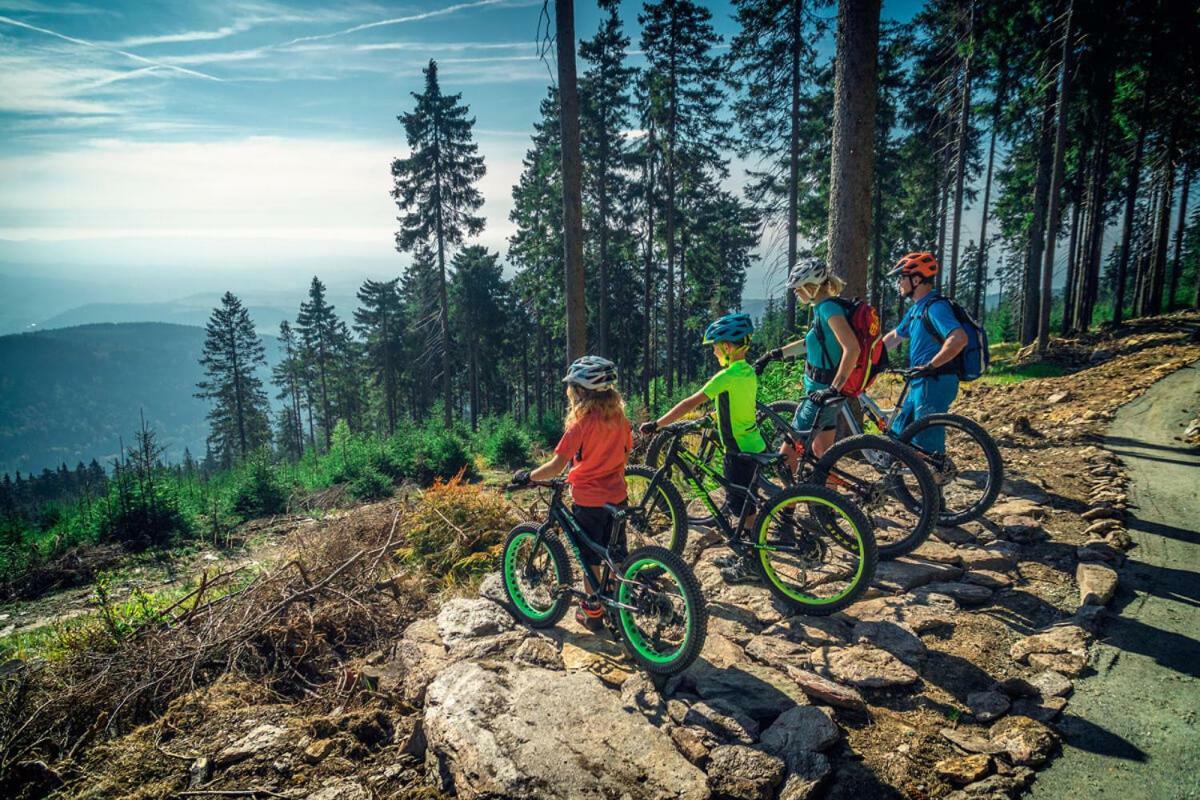 Angebot - Doppelzimmer mit Mountainbike-Ausflug